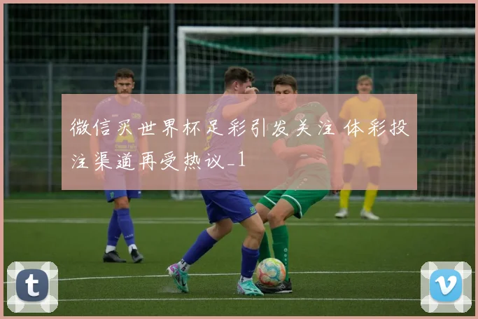 微信买世界杯足彩引发关注 体彩投注渠道再受热议_1
