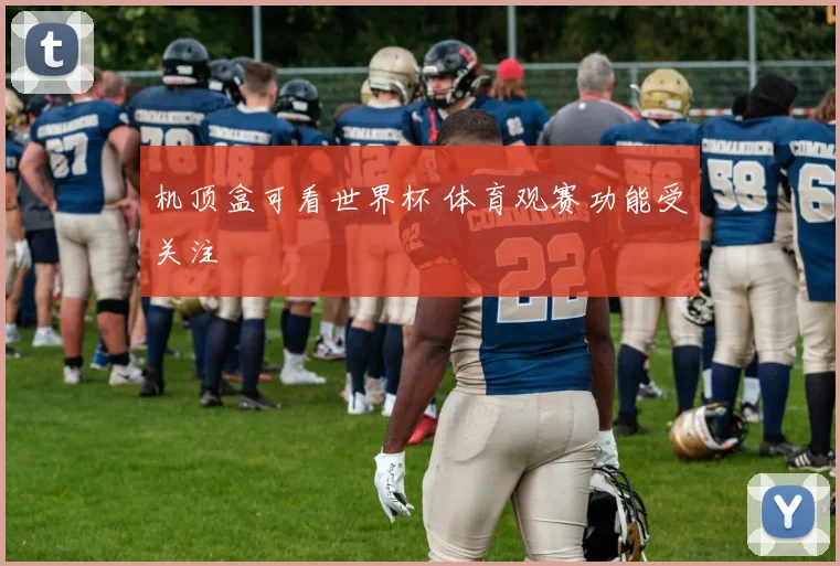 机顶盒可看世界杯 体育观赛功能受关注