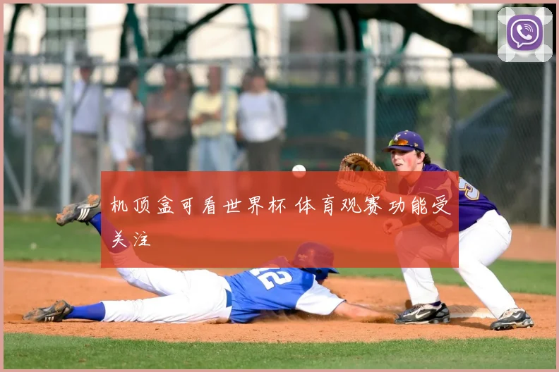机顶盒可看世界杯 体育观赛功能受关注