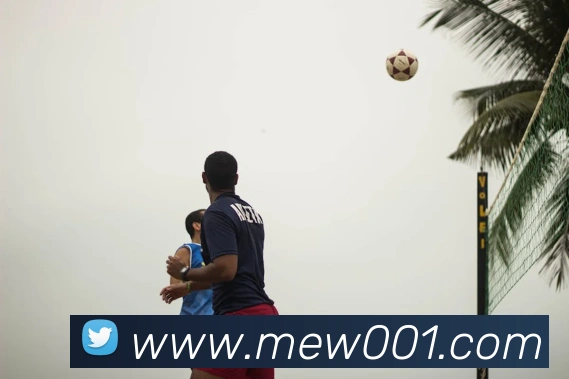 华体官网登录入口手机版发展历程